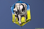32 FESTIVAL CERVIA 2012 - 225
